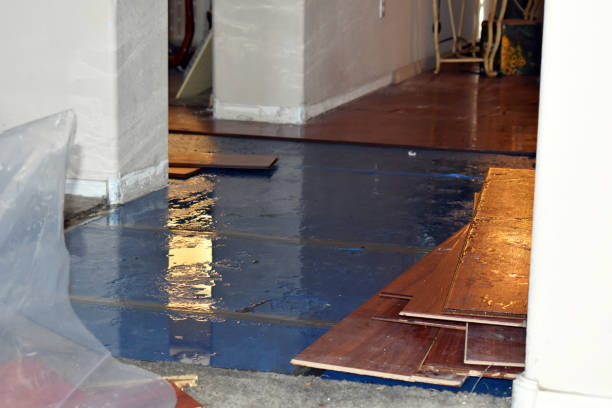 Professional Water Extraction technician working in Mystic, CT